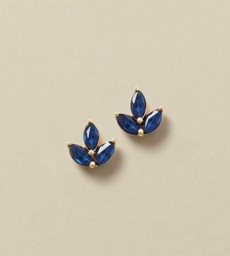 About stunning blue earrings